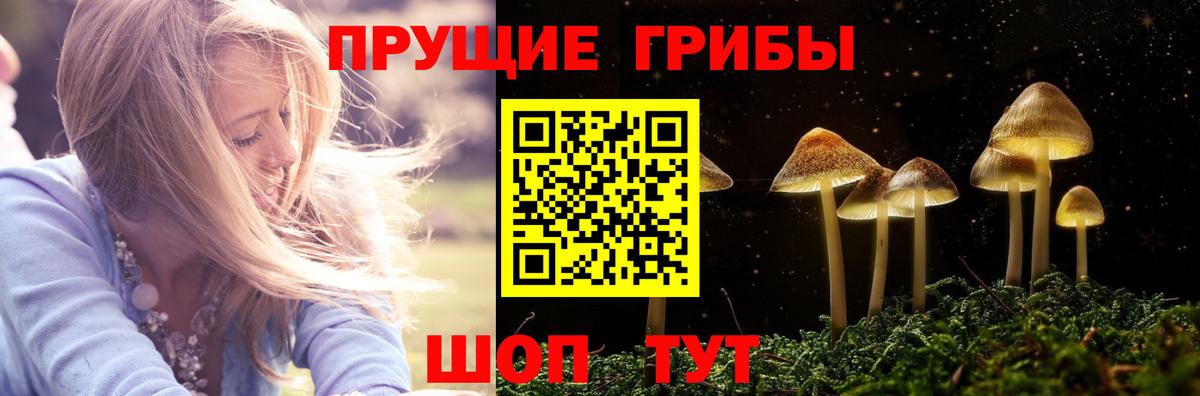 COCAIN Тимашёвск
