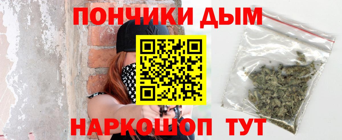 Бошки марихуана план  Вход с VPN  Марихуана ГИДРОПОН  Бошки марихуана Bruce Banner  Тимашёвск 